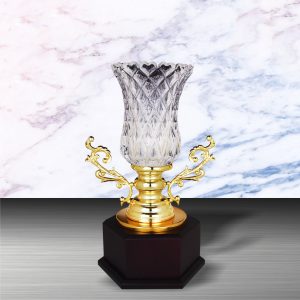 Silver Trophy EXWS6147 – Exclusive White Silver Trophy With Crystal Vase