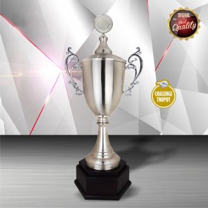 Silver Trophy EXWS6150 – Exclusive White Silver Trophy