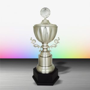 Silver Trophy EXWS6152 – Exclusive White Silver Trophy
